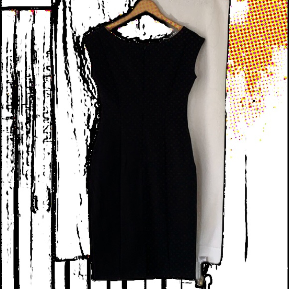 Beta brand bl dress sz med takes off 10 pounds.
